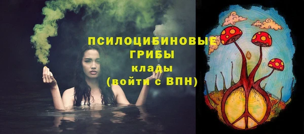 первитин Каменка