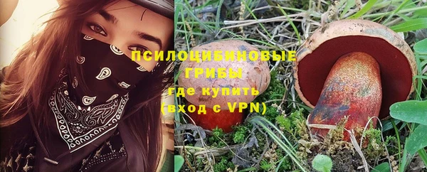 скорость Каменногорск