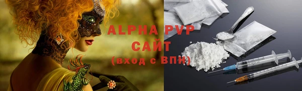 скорость Каменногорск