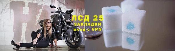 скорость Каменногорск