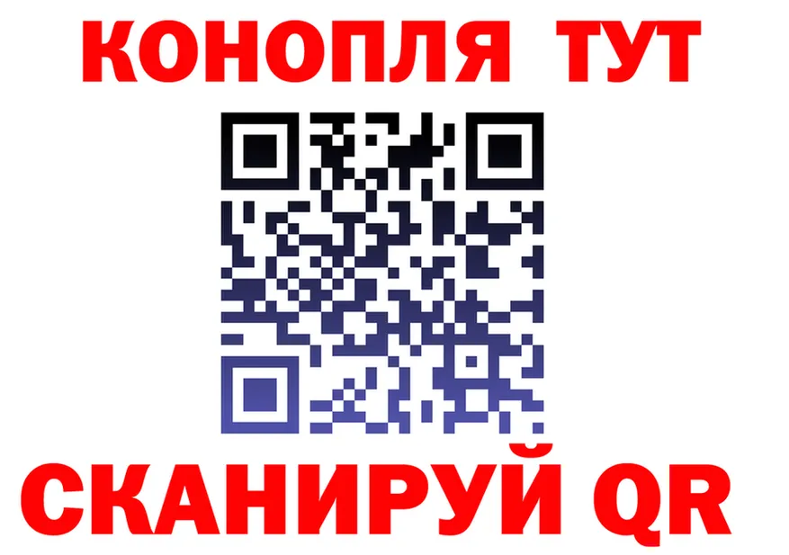 ГАШ Ice-O-Lator вход shop МЕГА Курильск